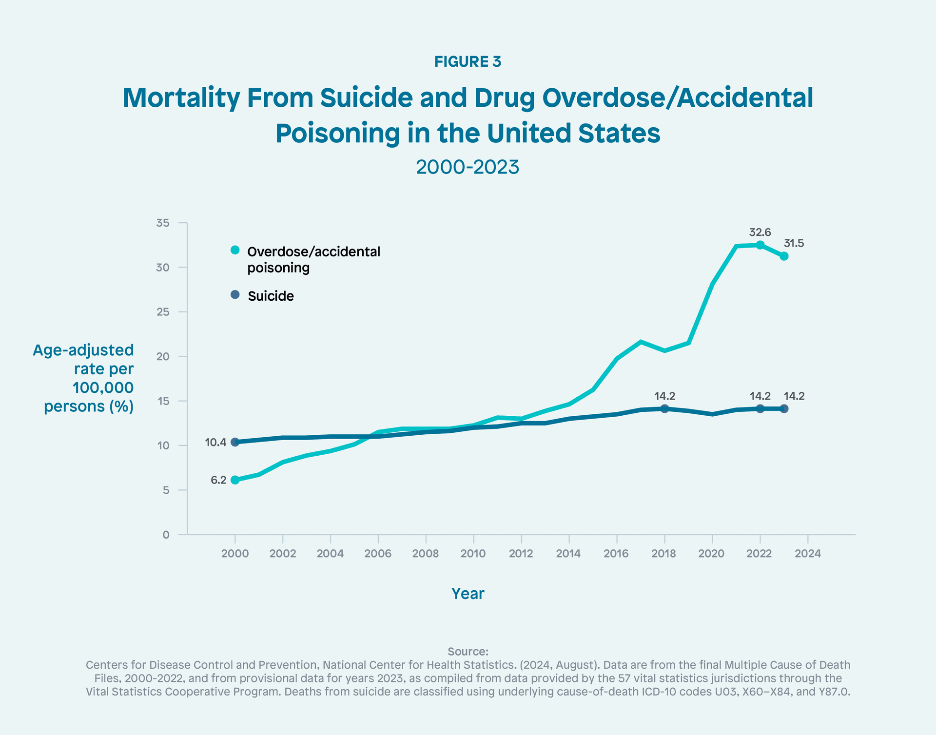 Image illustrating the topic of the article.